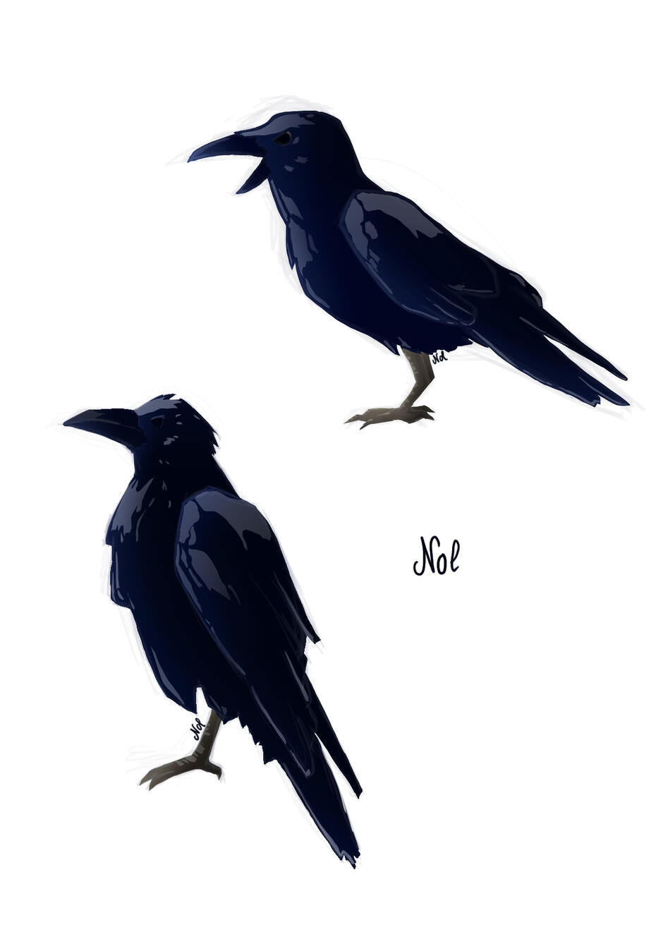 Concept crows for Naos' figurama